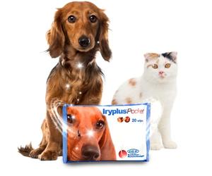 Iryplus Pocket Toallitas Oculares Perros Gatos Manchas Lagrimales 20 ud | Sobre resellable que mantiene el paño húmedo. Formato de bolsillo, apto también en cachorros o gatitos