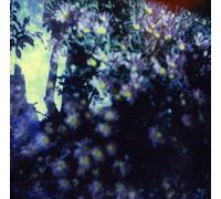 Is and of the - Heads Phased for Dreamless Sleep