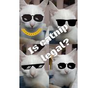 Is catnip legal?: Funny notebook with cat. 100 page dotted. Cat notebook for cat lovers.