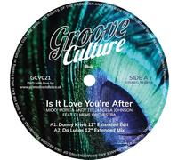Is It Love You're After [Vinilo]