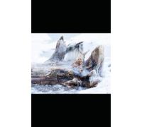 Is This The Best Blank Journal In The World? 2.0 Ice Log Canada At The Beach Glossy (5x8)