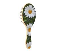 ISAOA Wet Brush - Cepillo desenredante para todo tipo de cabello, cerdas suaves que se deslizan a través de los enredos con facilidad, hermosa margarita blanca para cabello húmedo y seco