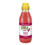 ISB FRUITS CHAMPU AMARENA (500 ML)