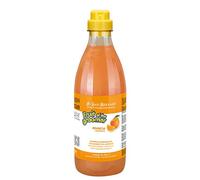 ISB FRUITS CHAMPU ARANCIA (1000 ML)
