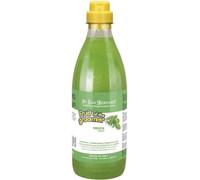 ISB FRUITS CHAMPU MENTA (1000 ML)
