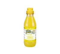 ISB FRUITS CHAMPU ZENZERO E SAMBUCO (500 ML)