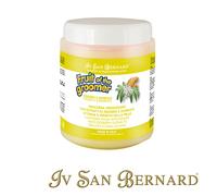 ISB FRUITS MASCARA ZENZERO E SAMBUCO (250 ML)