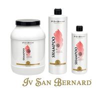 ISB TRAD CHAMPU KS ANTIOLOR (3000 ML)