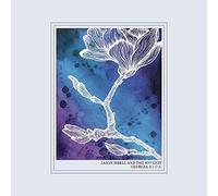 Jason Isbell & The 400 Unit - Georgia Blue [Vinilo]