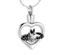 ISCBAFYX Joyería cremación Collar de joyería para Cenizas Memorial urna de Acero Inoxidable Recuerdo para un ser Querido joyería