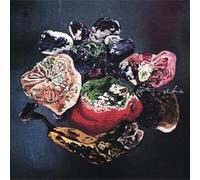 Ischia - Leave Me To The Future