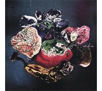 Ischia - Leave Me To The Future [Vinilo]