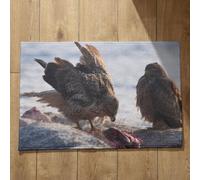 Isdreem Alfombra Antideslizante Cuadrada Felpudo Friends Pájaro Alfombras Antideslizante para Ducha Felpudo Exterior Entrada Casa Grande, 50x80cm