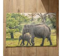 Isdreem Alfombra Antideslizante Ducha Exterior Felpudo Entrada Edificio Elefante Alfombra Antideslizante Larga Felpudos Personalizados Mascotas, 50x80cm