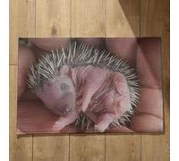 Isdreem Alfombra Antideslizante Habitacion Felpudo Entrada Casa Limpia Zapatos Erizo Alfombra De Baño Alfombrilla Antideslizante Baã Era, 40x60cm