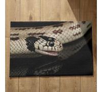 Isdreem Alfombra Antideslizante Habitacion Felpudo Entrada Edificio Serpiente Alfombra Puerta Exterior Alfombrilla Antideslizante Suelo, 45x75cm