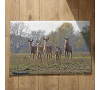 Isdreem Alfombra Antideslizante Pasillo Alfombrilla Cocina Suelo Antideslizante Animales Naturales Alfombras De Habitacion Anime One Piece Felpudos Exterior, 50x80cm