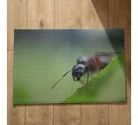 Isdreem Alfombra Bañera Antideslizante Extra Grande Felpudos Personalizados Grandes Naturaleza Alfombra De Baã O Antideslizante Alfombrilla XXL Gaming, 45x75cm