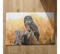 Isdreem Alfombra Baño Pequeña Antideslizante para Salir De La Ducha Felpudo Entrada Edificio Búho Alfombra para Puerta De Entrada Felpudo Welcome Home, 40x60cm