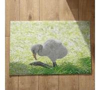 Isdreem Alfombra Baño Super Absorbente Felpudos Originales Pájaro Alfombra Salon Antideslizante Felpudo Entrada Edificio Alfombrillas Decorativas Antideslizantes, 50x80cm