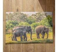 Isdreem Alfombra Cocina Absorbente Y Antideslizante Felpudo Friends Elefante Alfombra para La Puerta Alfombrilla Antideslizante Pequeña, 45x75cm