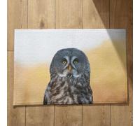 Isdreem Alfombra Cocina Lavable Alfombrilla Antideslizante Movil Búho Alfombra Interior Camping Felpudo Friends Alfombrillas Decorativas Antideslizantes, 50x80cm