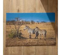 Isdreem Alfombra De Baño Antideslizante Suave Felpudo Entrada Casa One Piece Cebra Alfombra para La Puerta Felpudo One Piece Alfombrillas Decorativas Antideslizantes, 40x60cm