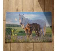 Isdreem Alfombra De Baño Extra Grande Felpudos Originales Y Divertidos Entrada Caballo Alfombra Dormitorio Felpudo Lavable Lavadora, 40x60cm