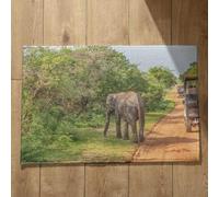 Isdreem Alfombra De Puerta De Entrada Felpudo Entrada Edificio Elefante Alfombra Antideslizante En La Bañera Alfombrilla De Cocina Antideslizante, 50x80cm