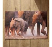 Isdreem Alfombra Entrada Casa Felpudo Entrada Casa One Piece Elefante Alfombra Antideslizante para Ducha Felpudo Welcome Home Alfombrillas Decorativas Antideslizantes, 50x80cm