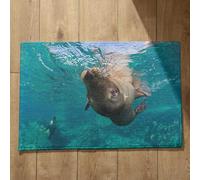 Isdreem Alfombra Entrada Casa Felpudo Original León Marino Alfombra Puerta Entrada con Diseño Felpudo Entrada Edificio Alfombrillas Decorativas Antideslizantes, 40x60cm