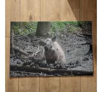 Isdreem Alfombra Entrada Interior Lavable Alfombrilla Interior Baño Jabalí Alfombra De Baño Antideslizante Grande Felpudo Pequeño, 45x75cm