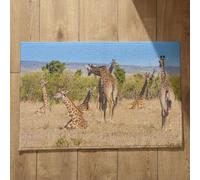 Isdreem Alfombra Felpudo Muy Grande para Entrada De Casa Felpudos Graciosos Jirafa Alfombra Zapatos Natural Felpudo Entrada Edificio, 50x80cm