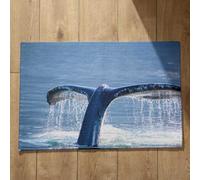 Isdreem Alfombra Fina Antideslizante Felpudo Entrada Portal Ballena Alfombra Oriental Alfombrilla Antideslizante Baã Era Alfombrillas Decorativas Antideslizantes, 50x80cm