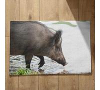 Isdreem Alfombra Interior Ducha Antideslizante Alfombrilla Antideslizante XXL Jabalí Alfombra De Baã O Antideslizante Felpudo Welcome Home, 40x60cm