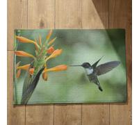 Isdreem Alfombra Interior Exterior Felpudo Entrada Casa Limpia Zapatos Colibrí Alfombra Antideslizante Lavadora Felpudo Friends Alfombrillas Decorativas Antideslizantes, 40x60cm