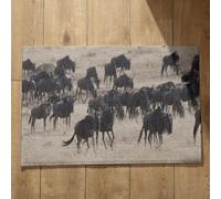 Isdreem Alfombra Interior Felpudo Entrada Casa Lavable Animales Naturales Alfombra Pequeña Felpudo One Piece Alfombrillas Decorativas Antideslizantes, 50x80cm