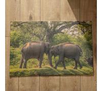 Isdreem Alfombra Interior para Ducha Felpudo Ultrafino Elefante Alfombra Pasillo Larga Felpudo Entrada Edificio Alfombrillas Decorativas Antideslizantes, 40x60cm