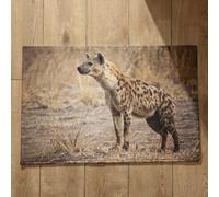 Isdreem Alfombra Larga para Cocina Felpudos Personalizados Pareja Hiena Alfombra Baño Felpudo Entrada Casa One Piece Alfombrillas Decorativas Antideslizantes, 40x60cm