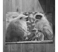 Isdreem Alfombra Larga Pasillo Felpudo Entrada Rectangular Mono Alfombra Oriental Entrada Interior Felpudo Entrada Edificio En Blanco Y Negro, 45x75cm