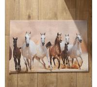 Isdreem Alfombra Limpia Zapatos Felpudo Entrada Edificio Caballo Alfombra Puerta Personalizada Alfombrilla Interior Baño Alfombrillas Decorativas Antideslizantes, 40x60cm