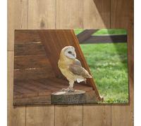 Isdreem Alfombra Natural Felpudo Queen Pájaro Alfombra Limpia Zapatos Felpudo Personalizado Familia Alfombrillas Decorativas Antideslizantes De Algodón Afelpado Ligero, 40x60cm