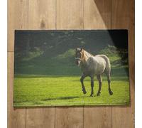 Isdreem Alfombra para Cocina Antideslizante Y Lavable Felpudos Bonitos Caballo Alfombra De Baã O Antideslizante Felpudos Originales Entrada Casa, 40x60cm