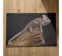 Isdreem Alfombra para La Puerta Alfombrilla Antideslizante Gruesa Lagarto Alfombras De Habitacion Anime One Piece Felpudo Entrada Casa Original, 50x80cm