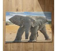 Isdreem Alfombra para La Puerta De Entrada Exterior Felpudo De Interior Elefante Alfombra Cocina Lavable Antideslizante Felpudo Entrada Edificio, 45x75cm