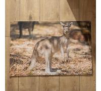 Isdreem Alfombra Puerta Entrada Casa Original Felpudo Terraza Exterior Lavable Canguro Alfombra De Baã O Antideslizante Felpudos Originales Y Divertidos Entrada, 45x75cm