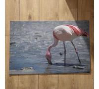 Isdreem Alfombra Puerta Exterior Felpudo Entrada Casa Vintage Pájaro Alfombra Pequeña Felpudo Friends Alfombrillas Decorativas Antideslizantes De Algodón Afelpado Ligero, 40x60cm