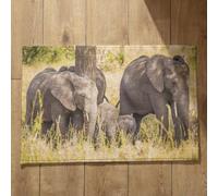 Isdreem Alfombra Puerta Personalizada Felpudo Entrada Casa One Piece Elefante Alfombra Antideslizante Patio Felpudos Grandes Alfombrillas Decorativas Antideslizantes, 40x60cm