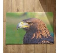 Isdreem Alfombra Salon Antideslizante Felpudo Entrada Casa Good Vibes Águila Alfombra De Baño Grande Felpudo Entrada De Casa Alfombrillas Decorativas Antideslizantes, 45x75cm