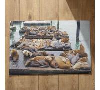 Isdreem Alfombra Suelo Cocina Antideslizante Felpudo Entrada Edificio León Marino Alfombra para Entrada De Casa Interior Felpudo Entrada Casa Grande, 50x80cm